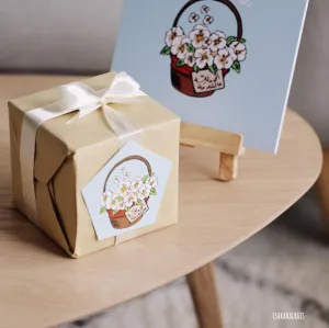 Collection -Get Well-