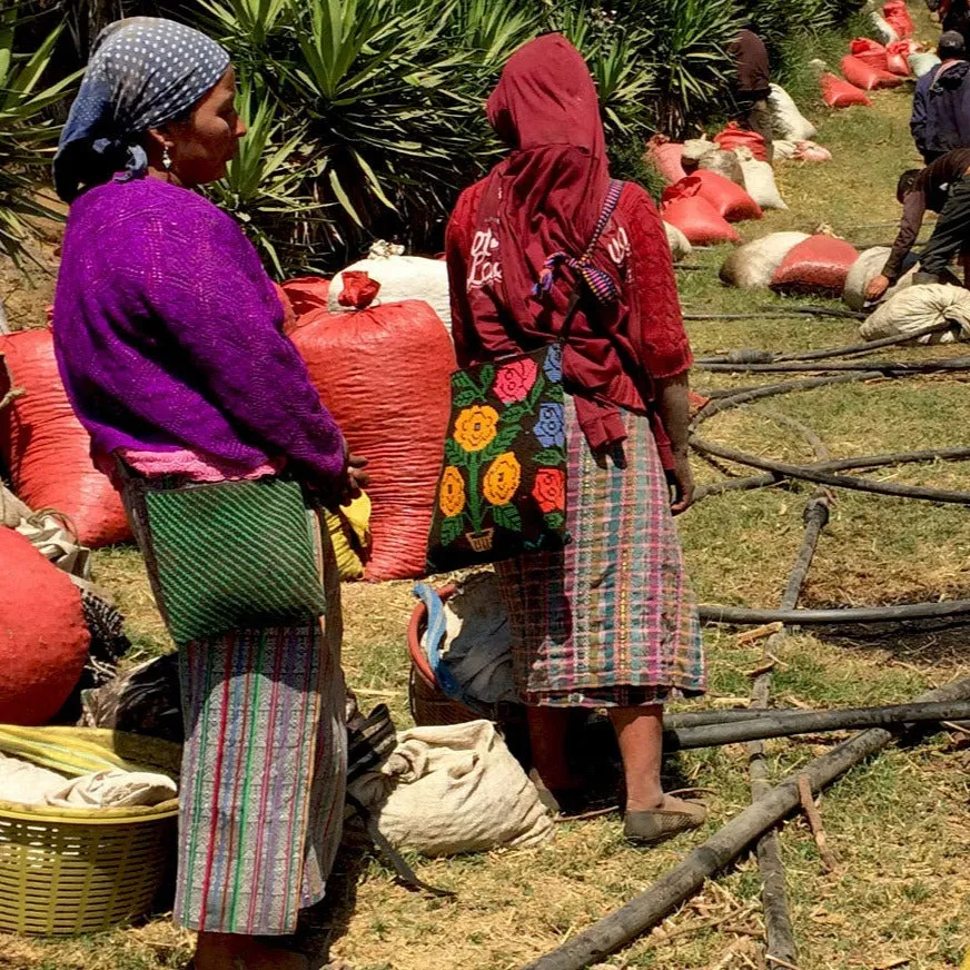 Domingo Lopez, Finca El Pajal - Huehuetenango