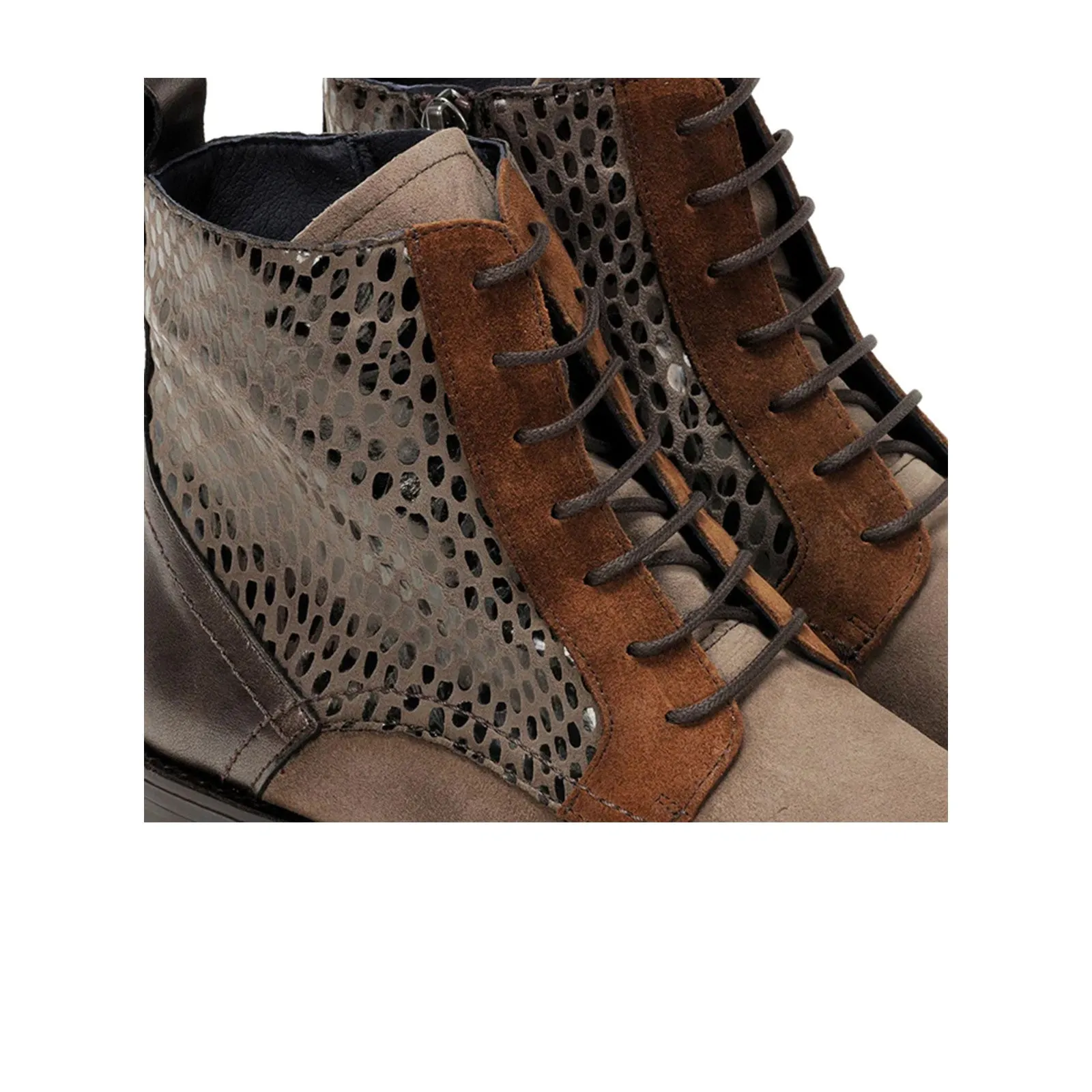 Dorking Harvard D8709 Ankle Boot (Women) - Fango