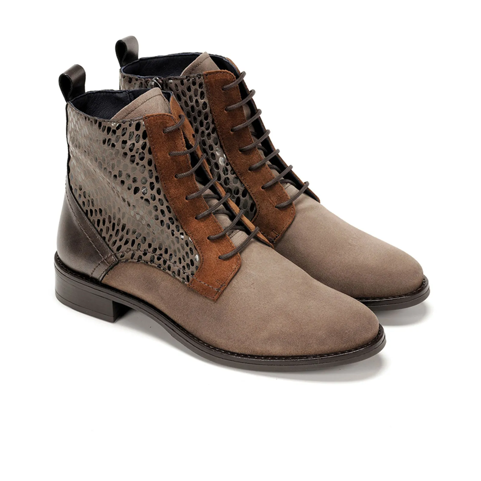 Dorking Harvard D8709 Ankle Boot (Women) - Fango