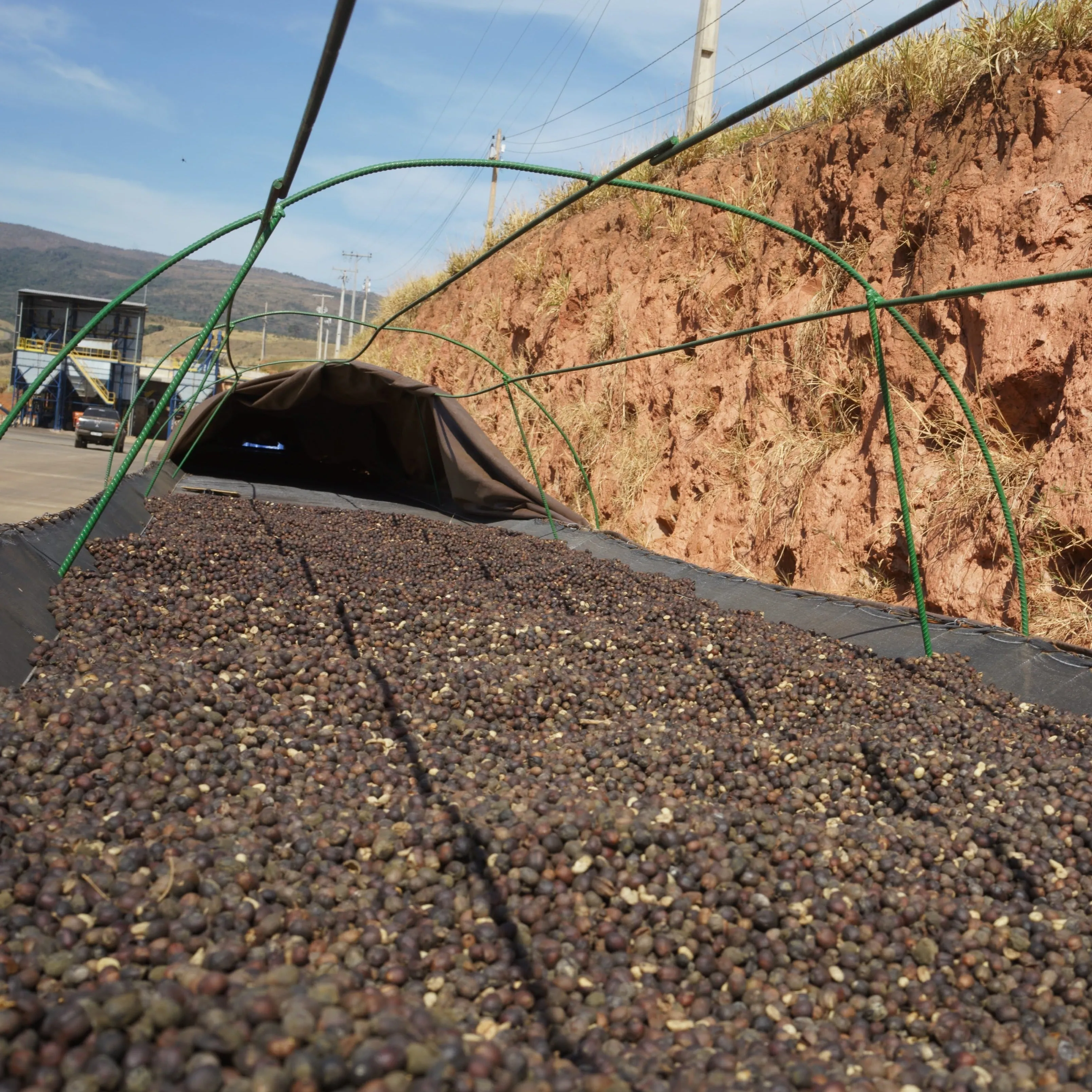 Fazenda Sao Sebastiao #1 natural – Sul de Minas