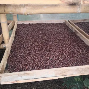 Finca Casa Vieja by Julio Cesar Montenegro #2, Natural 20h - Chachagui