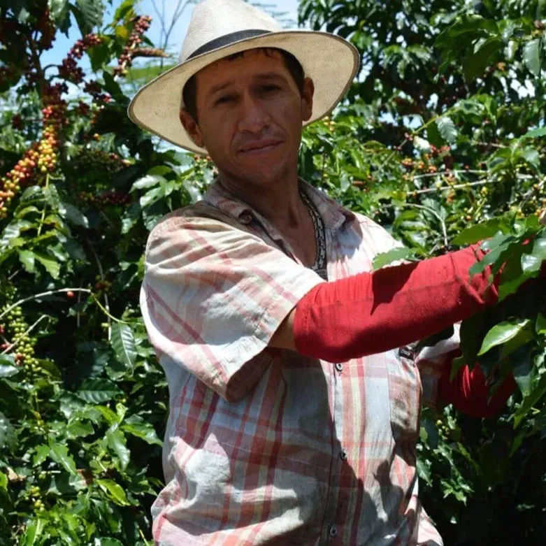 Finca El Rubi Pink Bourbon Anaerobic Natural - Huila