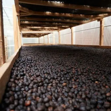 Finca El Rubi Pink Bourbon Anaerobic Natural - Huila