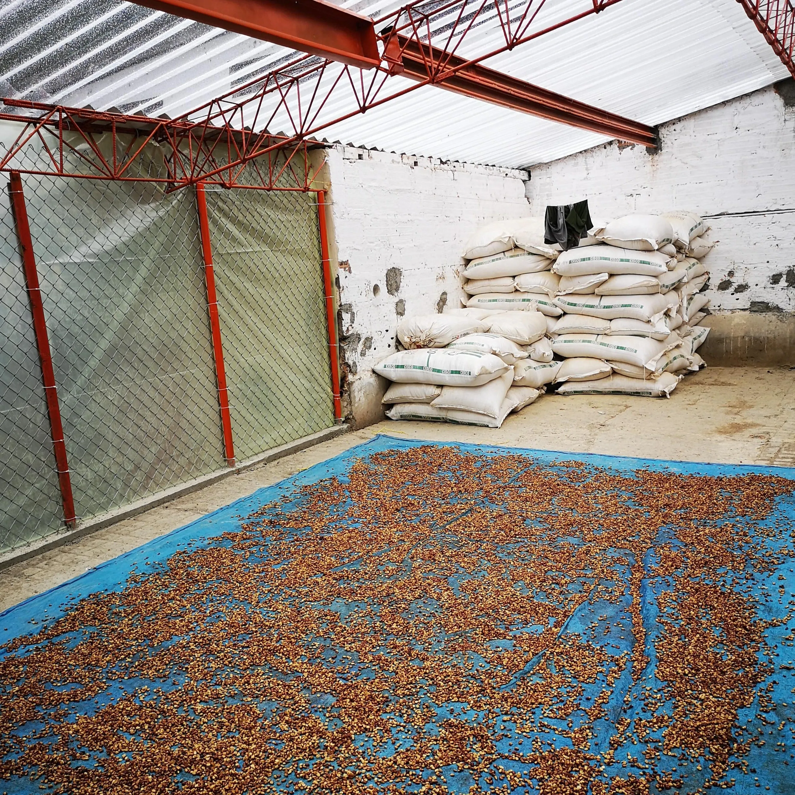 Finca Villa Clabelina, Lot #8 Extended Fermentation Natural - Ciudad Bolivar