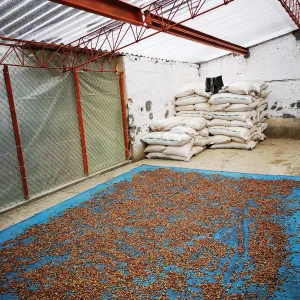 Finca Villa Clabelina, Lot #8 Extended Fermentation Natural - Ciudad Bolivar