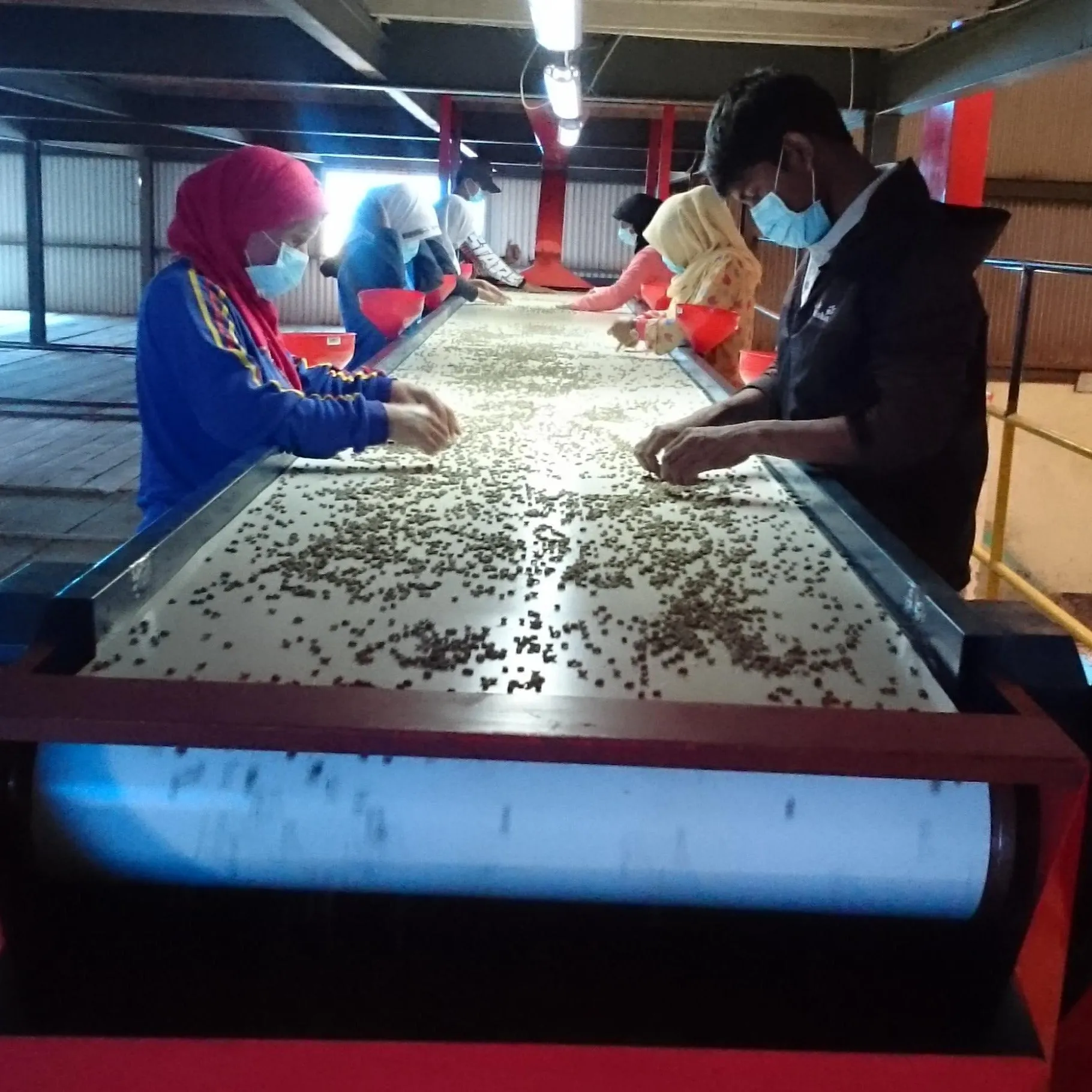 Frinsa Collective, Lot #A Lactic Fermentation - Weninggalih
