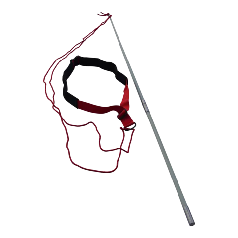 RESISTANCE TETHER POLE FOR SWIM SPAS