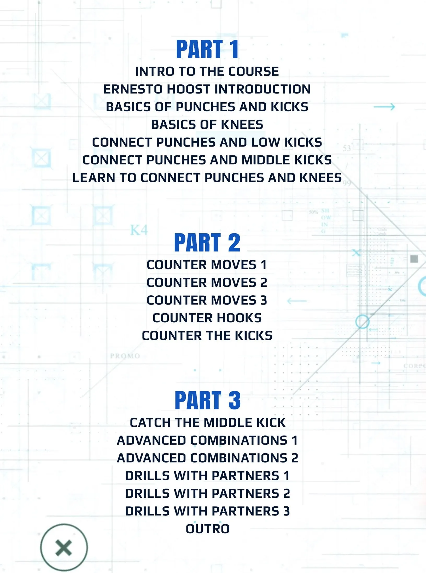 The Dutch Kickboxing Blueprint by Ernesto Hoost